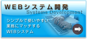 system開発